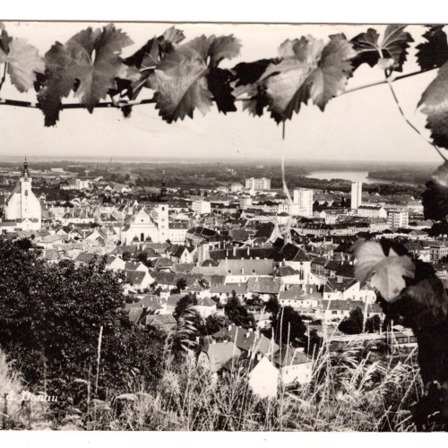 AK, Krems an der Donau, Niederösterreich, Ansichtskarte (S6023)