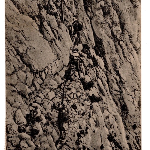 AK, Rax, Am Oberen Zimmersteig, Ansichtskarte (S6050)