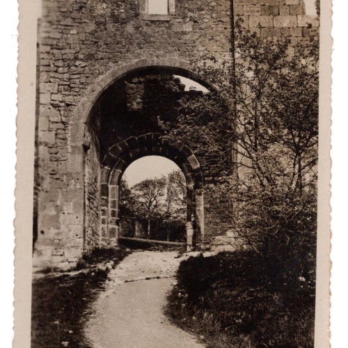 AK, Hainburg an der Donau, Ruine, Niederösterreich, Ansichtskarte (S6120)