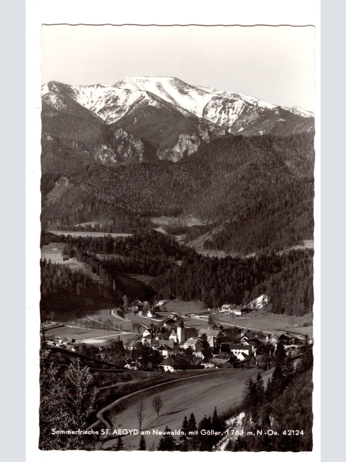 AK, Sankt Aegyd am Neuwalde, Niederösterreich, Ansichtskarte (S6139)