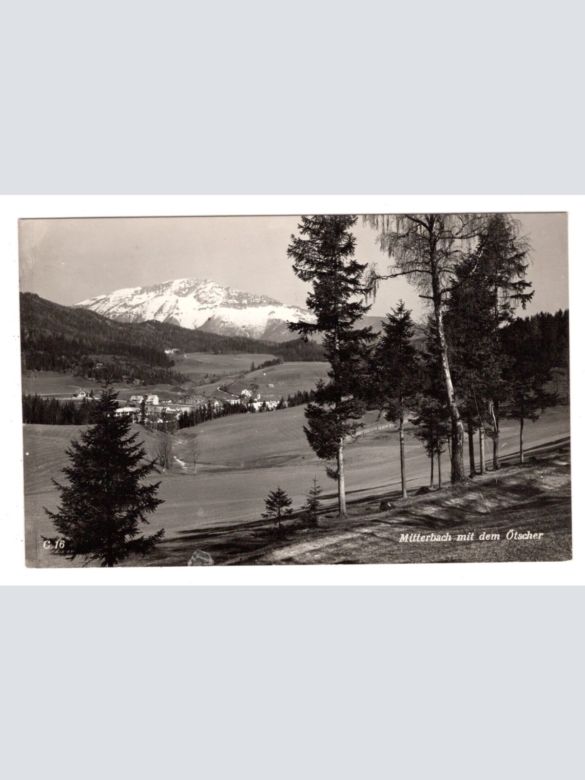 AK, Mitterbach mit dem Ötscher, Niederösterreich, Ansichtskarte (S6141)