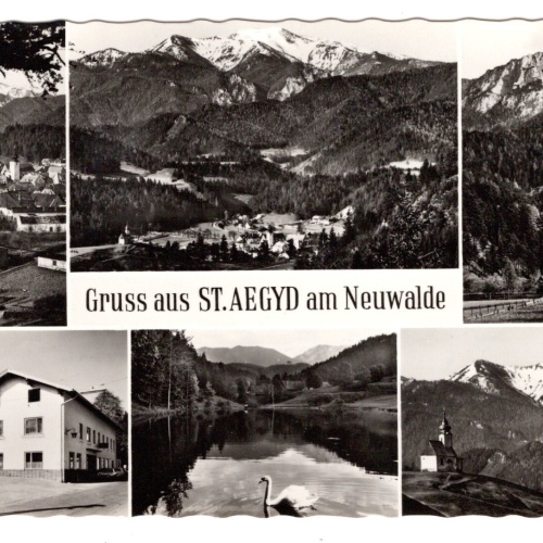 AK, Sankt Aegyd am Neuwalde, Niederösterreich, Ansichtskarte (S6152)