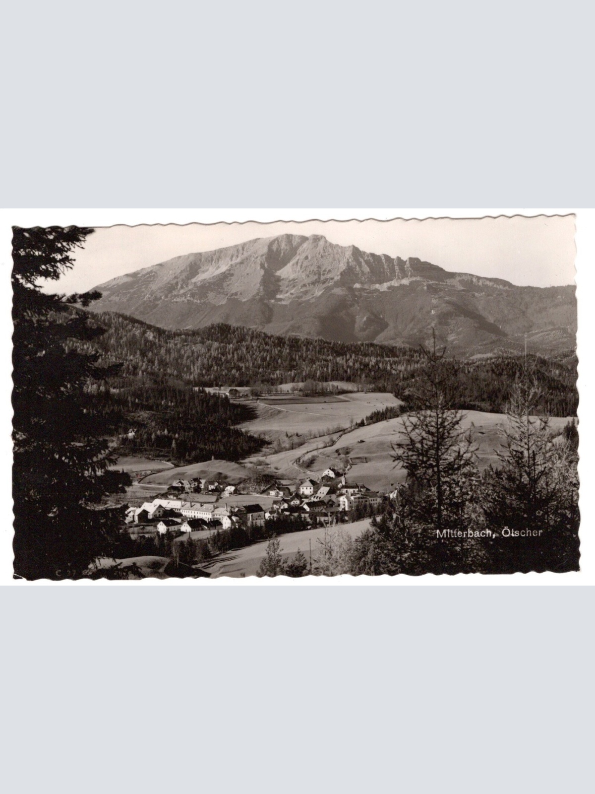 AK, Mitterbach, Ötscher, Niederösterreich, Ansichtskarte (S6157)