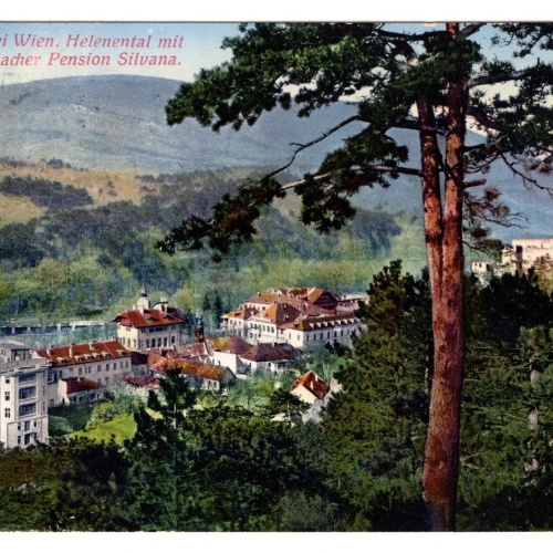 AK, Baden bei Wien, Pension Silvana, Niederösterreich, Ansichtskarte (S6166)
