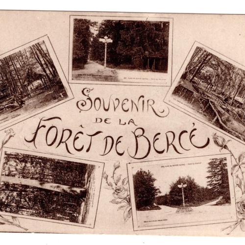 AK, Souvenir de la Forêt de Bercé, Frankreich, Ansichtskarte (S6197)