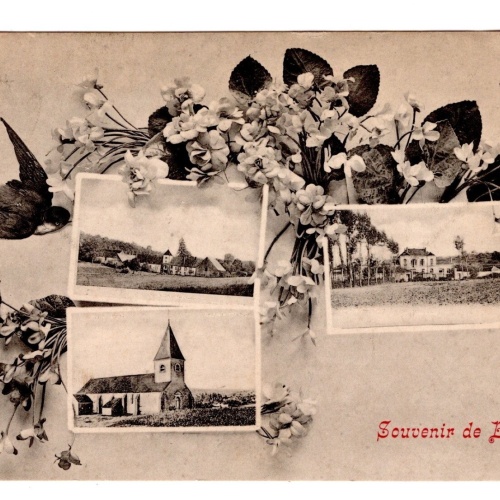 AK, Souvenir de Béon, Frankreich, Ansichtskarte (S6224)