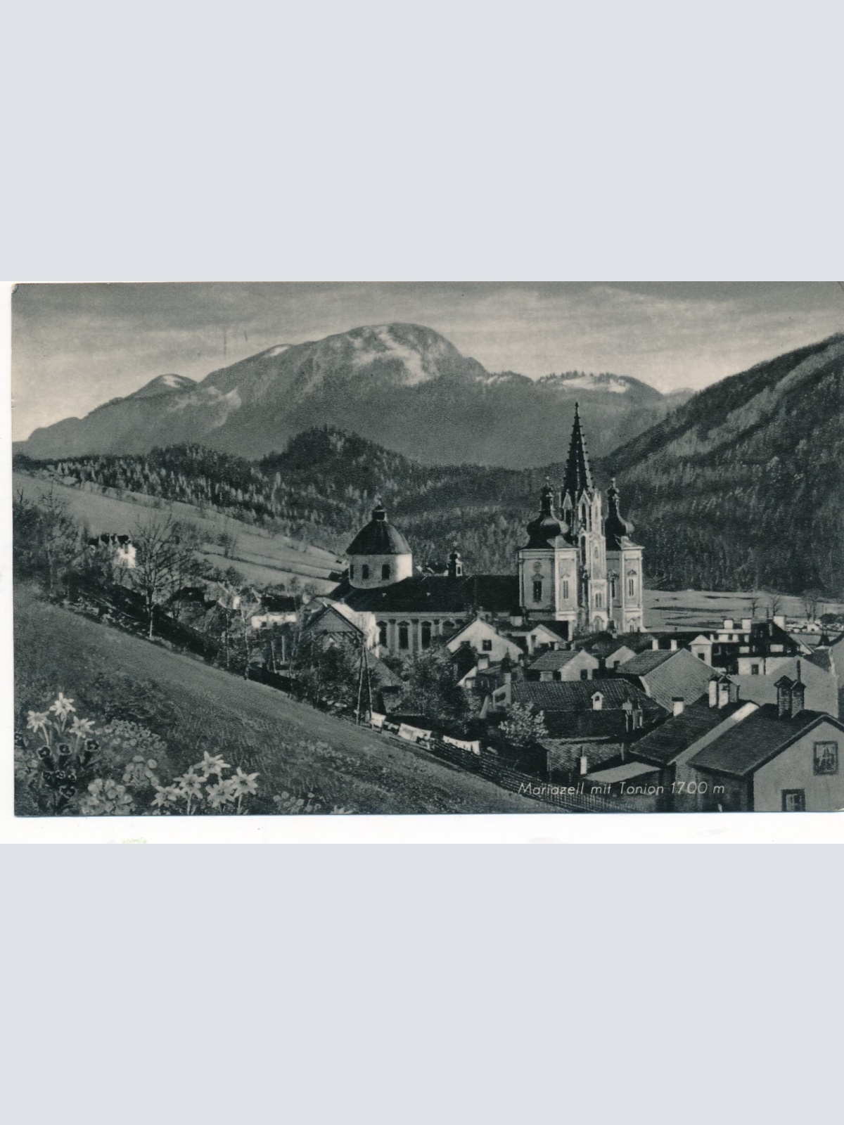 AK aus Mariazell mit Tonion Steiermark Ansichtskarte (14466)