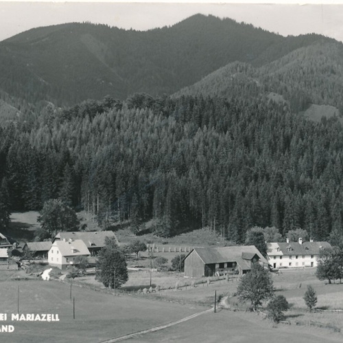 AK aus Mooshben bei Mariazell mit Pension Steiermark Ansichtskarte (14486)