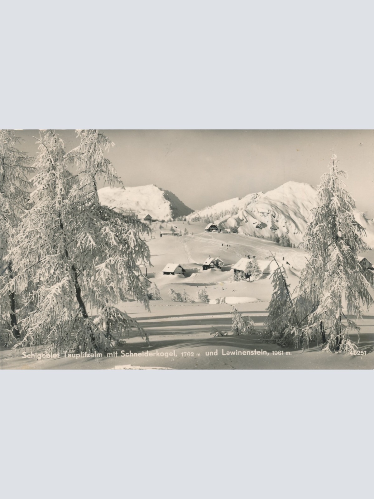 AK vom Schigebiet Tauplitzalm mit Schneiderkoge Steiermark Ansichtskarte (14510)