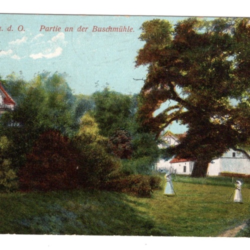 AK, Frankfurt, Partei an der Buschmühle, Brandenburg, Ansichtskarte (S6315)