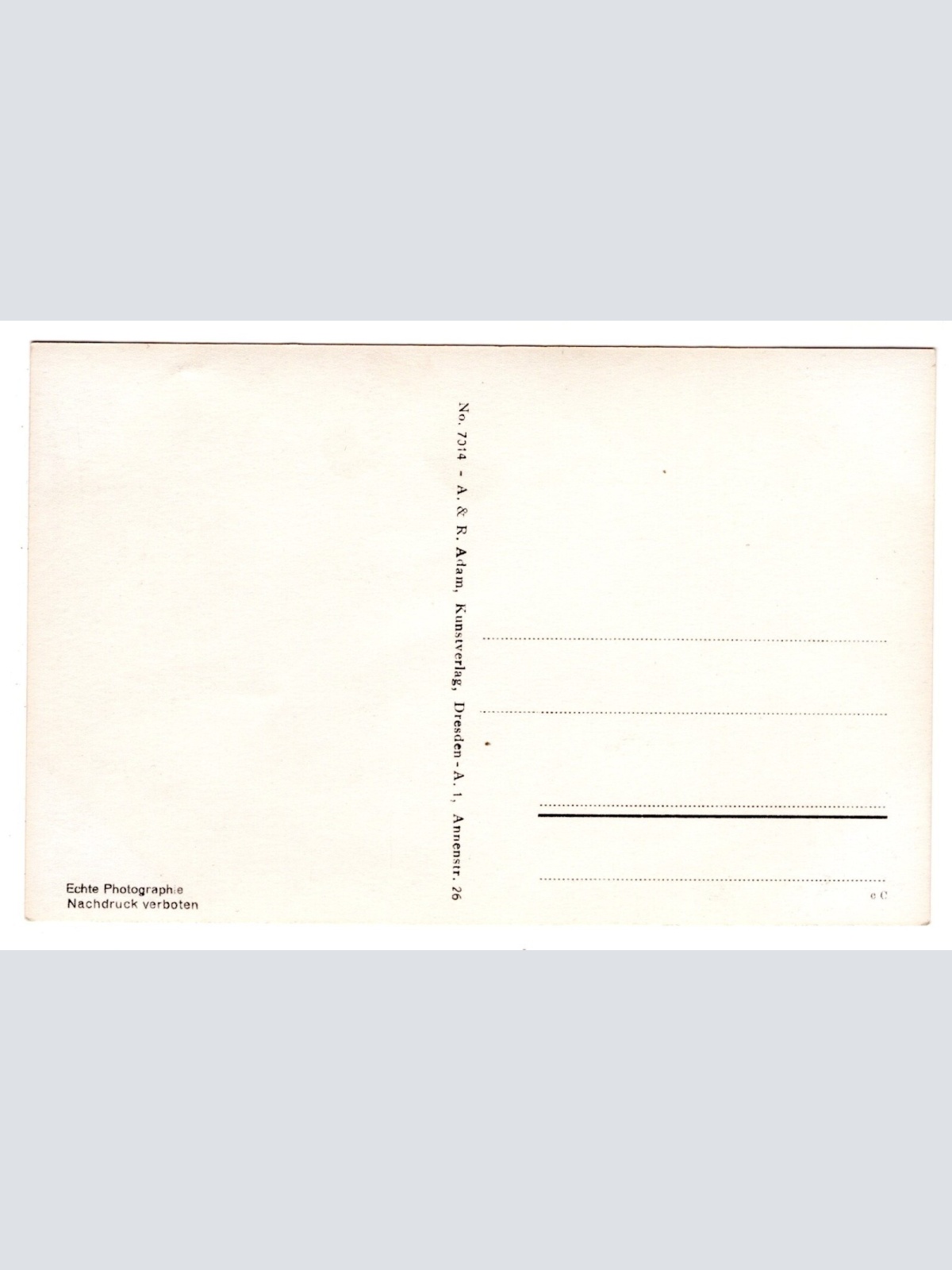 AK, Schloss Pillnitz m. Elbinsel u. Konzertdampfer Leipzig Ansichtskarte (S6335)