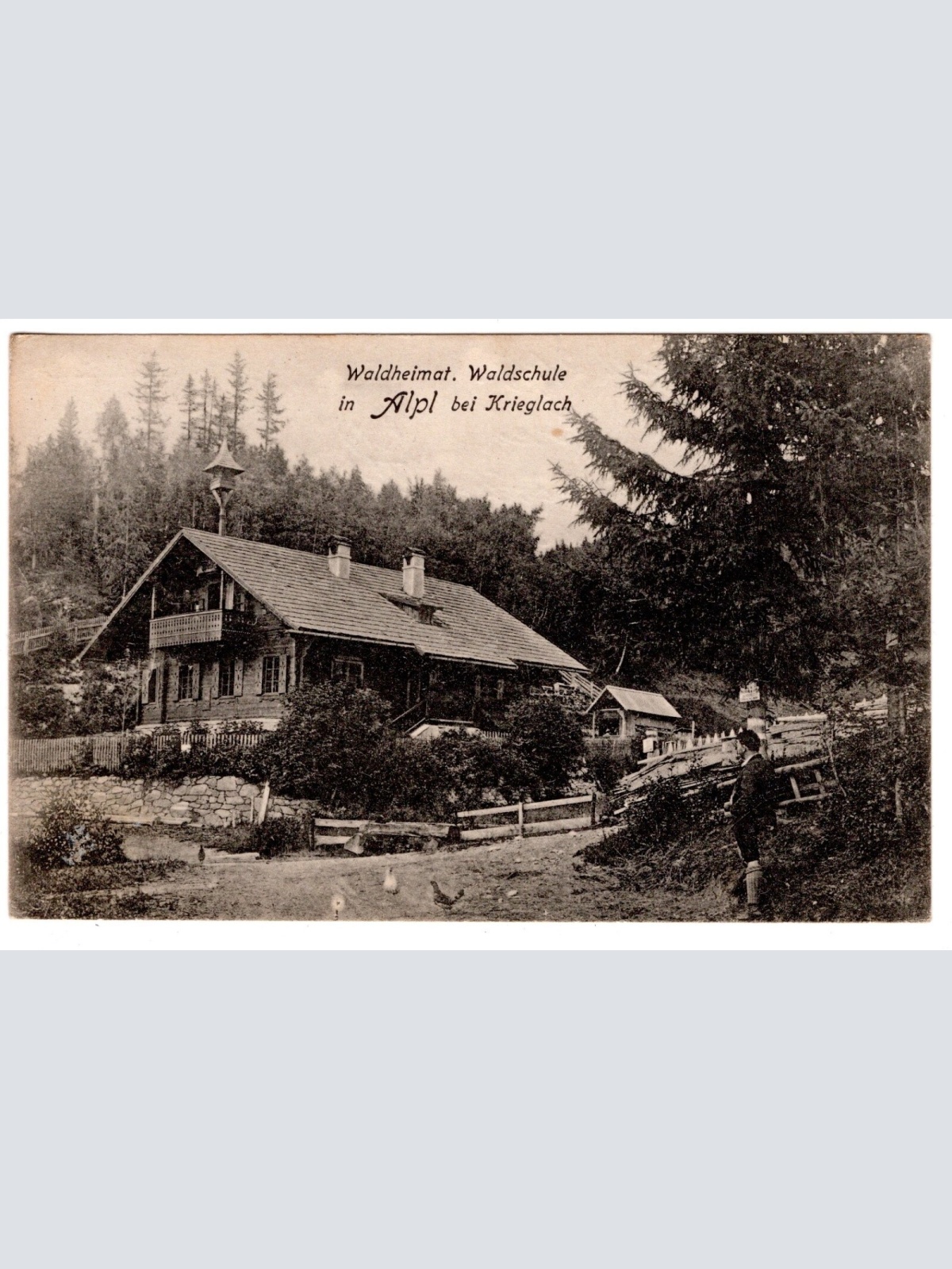 AK, Waldschule, Alpl bei Krieglach, Steiermark, Ansichtskarte (S6370)