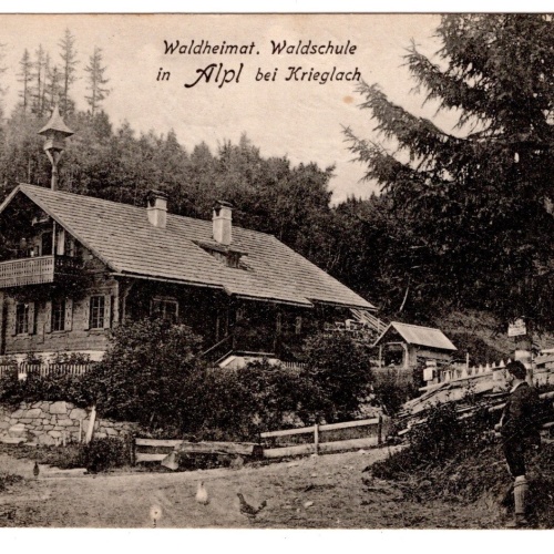 AK, Waldschule, Alpl bei Krieglach, Steiermark, Ansichtskarte (S6370)