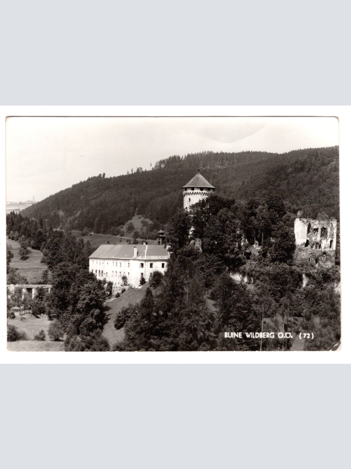 AK, Ruine Wildberg, Oberösterreich, Ansichtskarte (S6456)