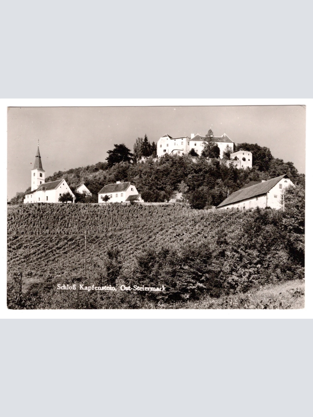 AK, Schloss Kapfenstein, Steiermark, Ansichtskarte (S6464)