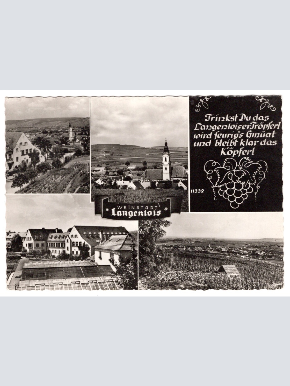 AK, Weinstadt Langenlois, Niederösterreich, Ansichtskarte (S6472)