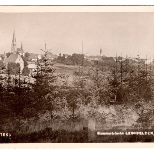 AK, Leonfelden, Oberösterreich, Ansichtskarte (S6559)