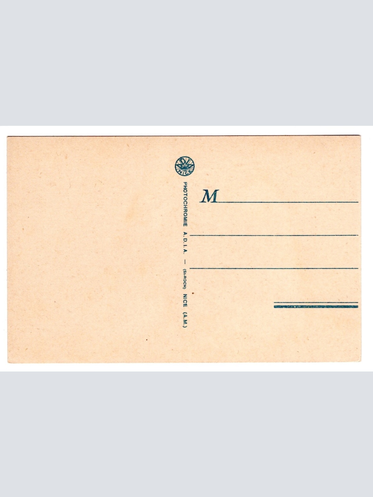 AK, La cueillette des Dattes, Ansichtskarte (S6612)