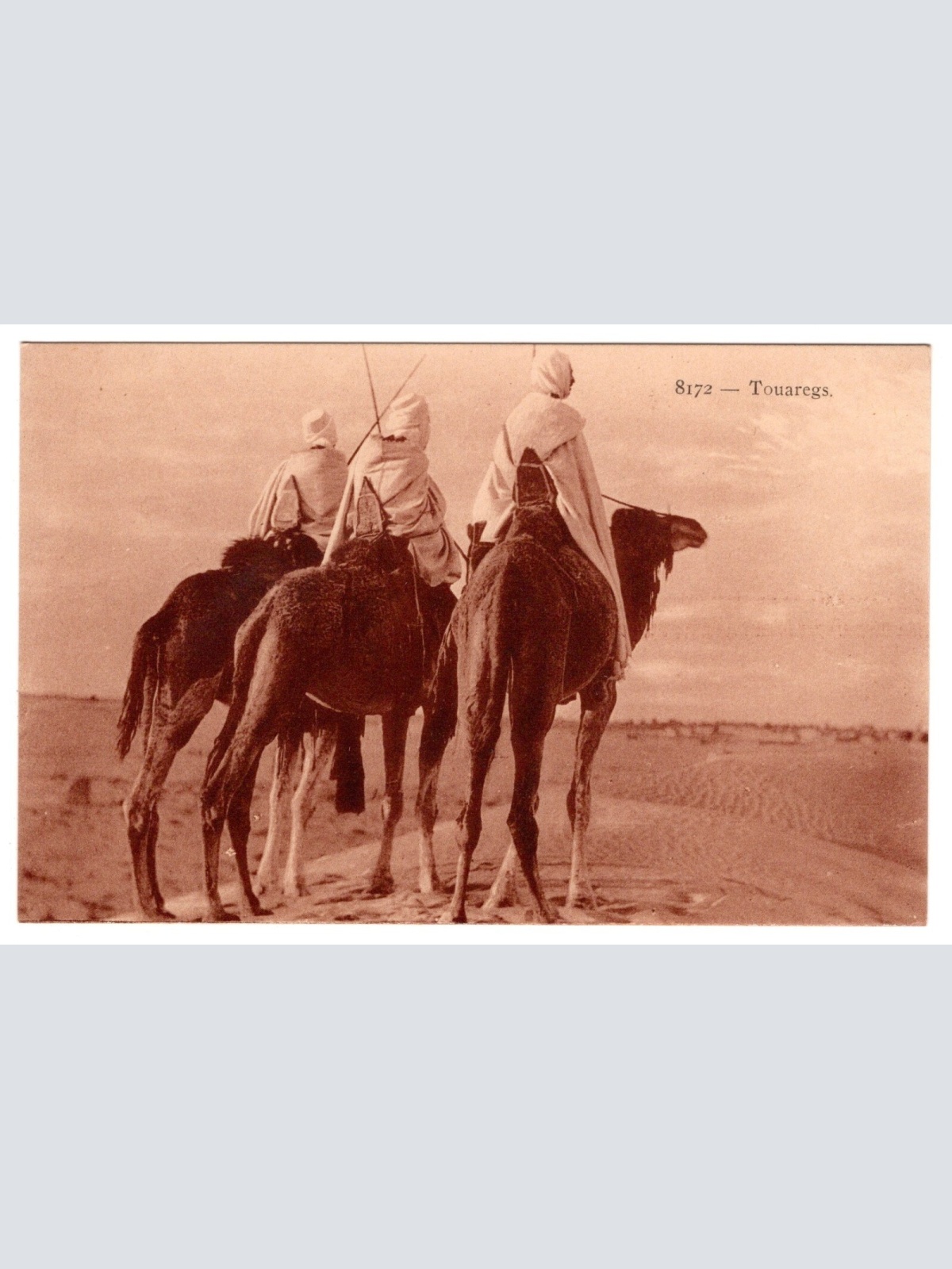 AK, Touaregs, Ansichtskarte (S6613)