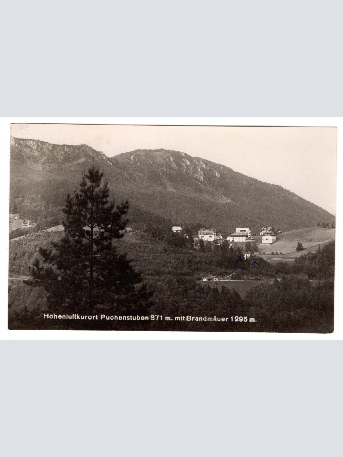 AK, Puchenstuben, Niederösterreich, Ansichtskarte (S6652)