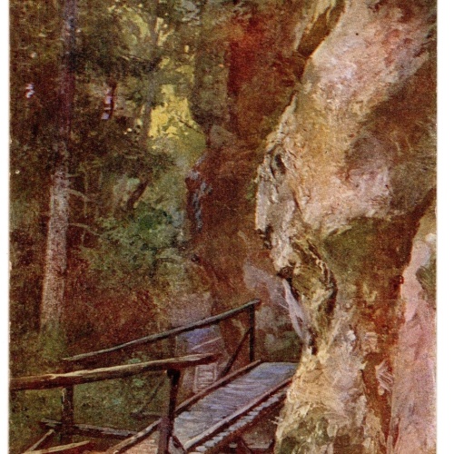 AK, Steinwandklamm, Niederösterreich, Ansichtskarte (S6709)