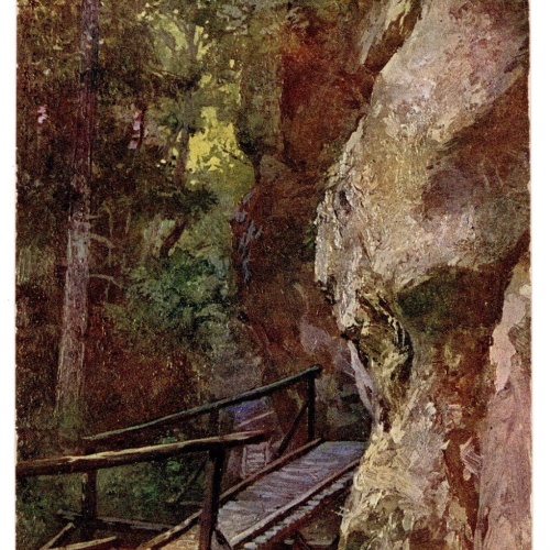 AK, Steinwandklamm, Niederösterreich, Ansichtskarte (S6710)