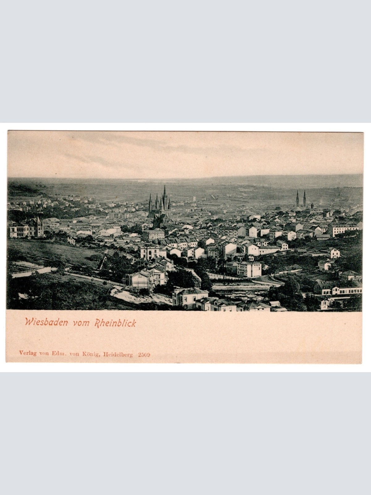 AK, Wiesbaden vom Rhein, Hessen, Ansichtskarte (S6876)