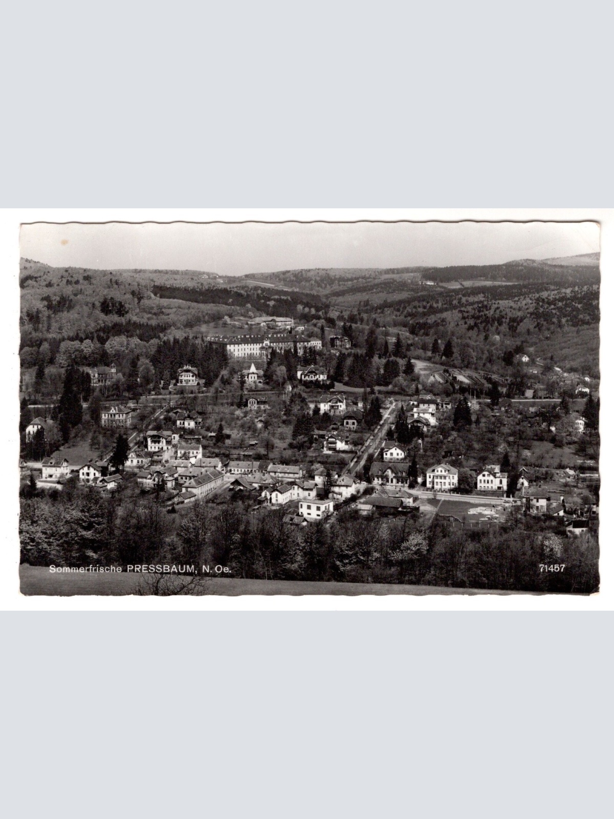 AK, Pressbaum, Niederösterreich, Ansichtskarte (S6894)