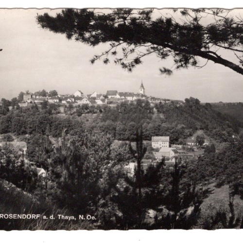 AK, Drosendorf an der Thaya, Niederösterreich, Ansichtskarte (S6919)