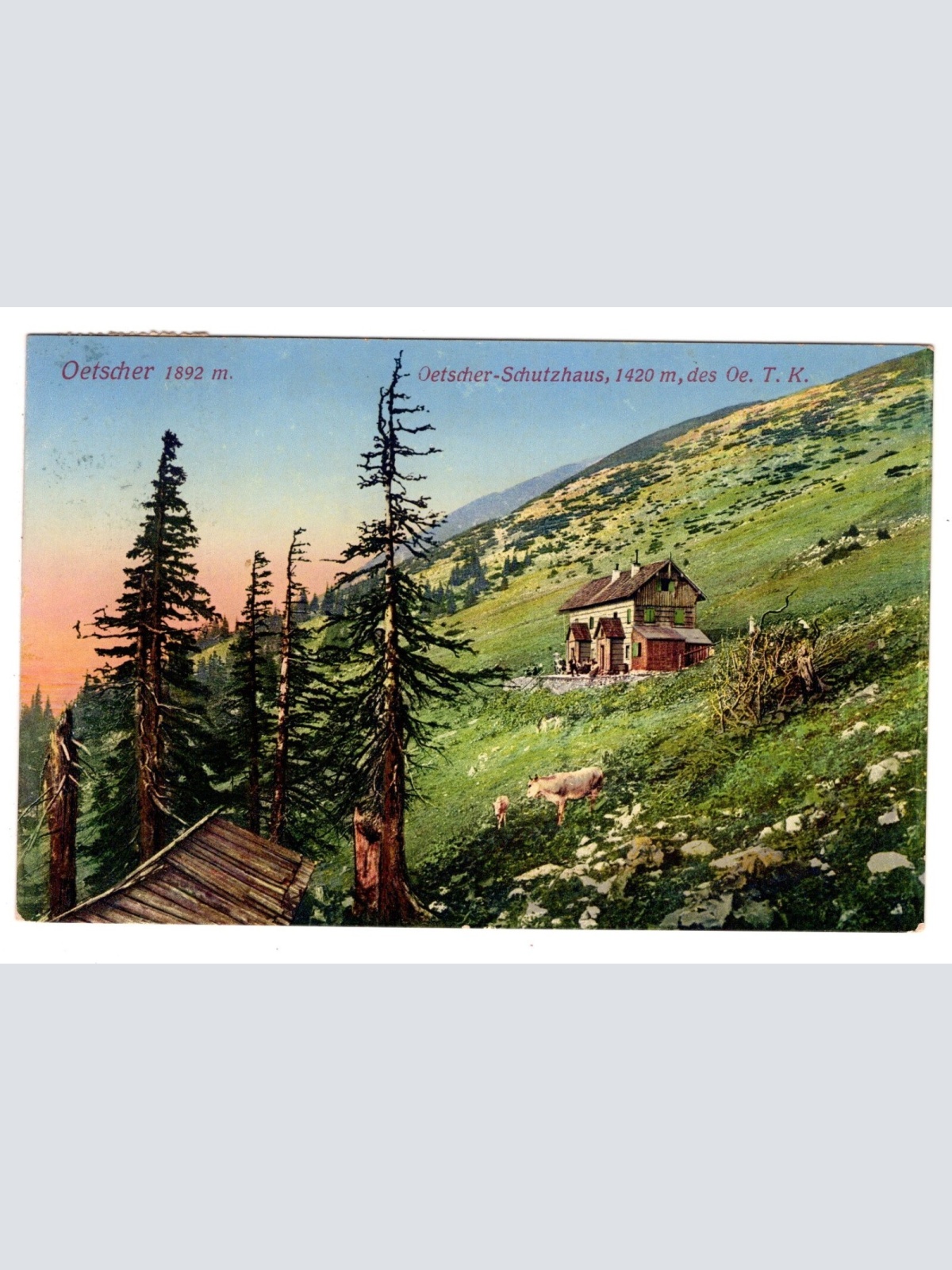 AK, Ötscher-Schutzhaus, Niederösterreich, Ansichtskarte (S6935)