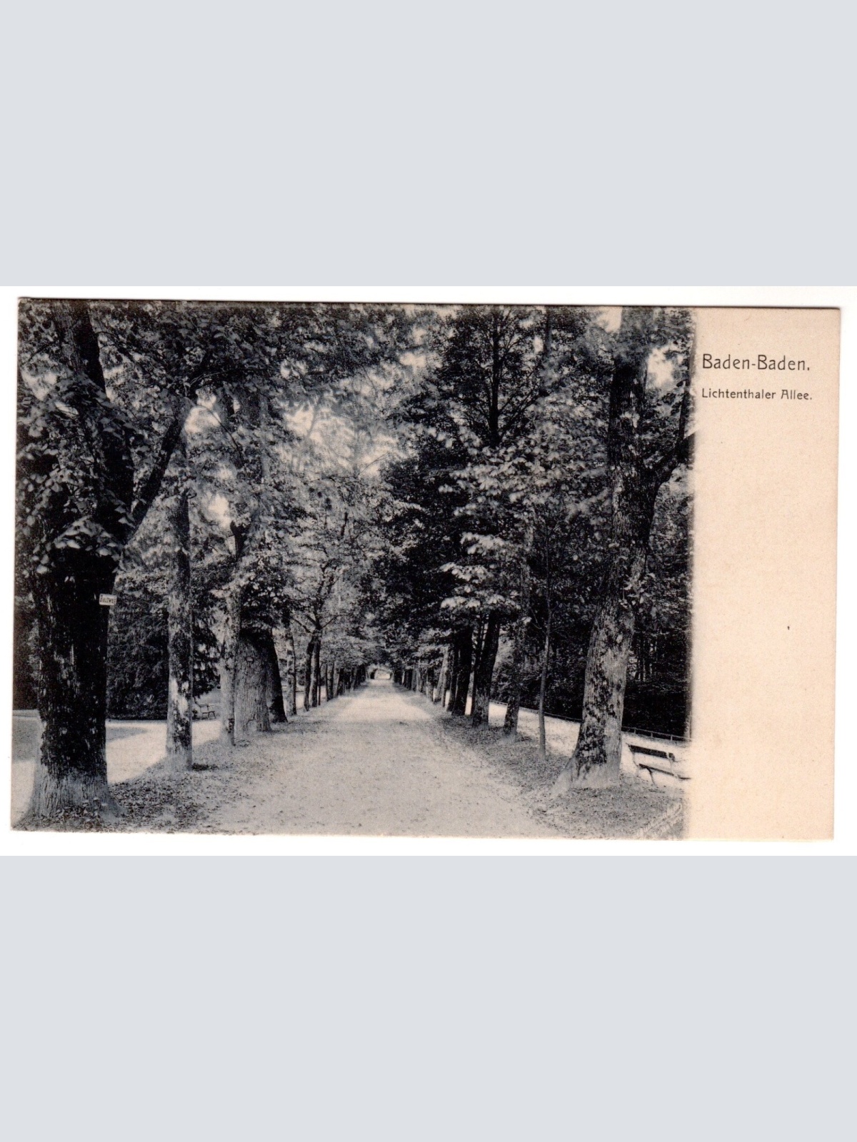 AK, Baden-Baden, Lichtenthaler Allee, Baden-Württemberg, Ansichtskarte (S7010)