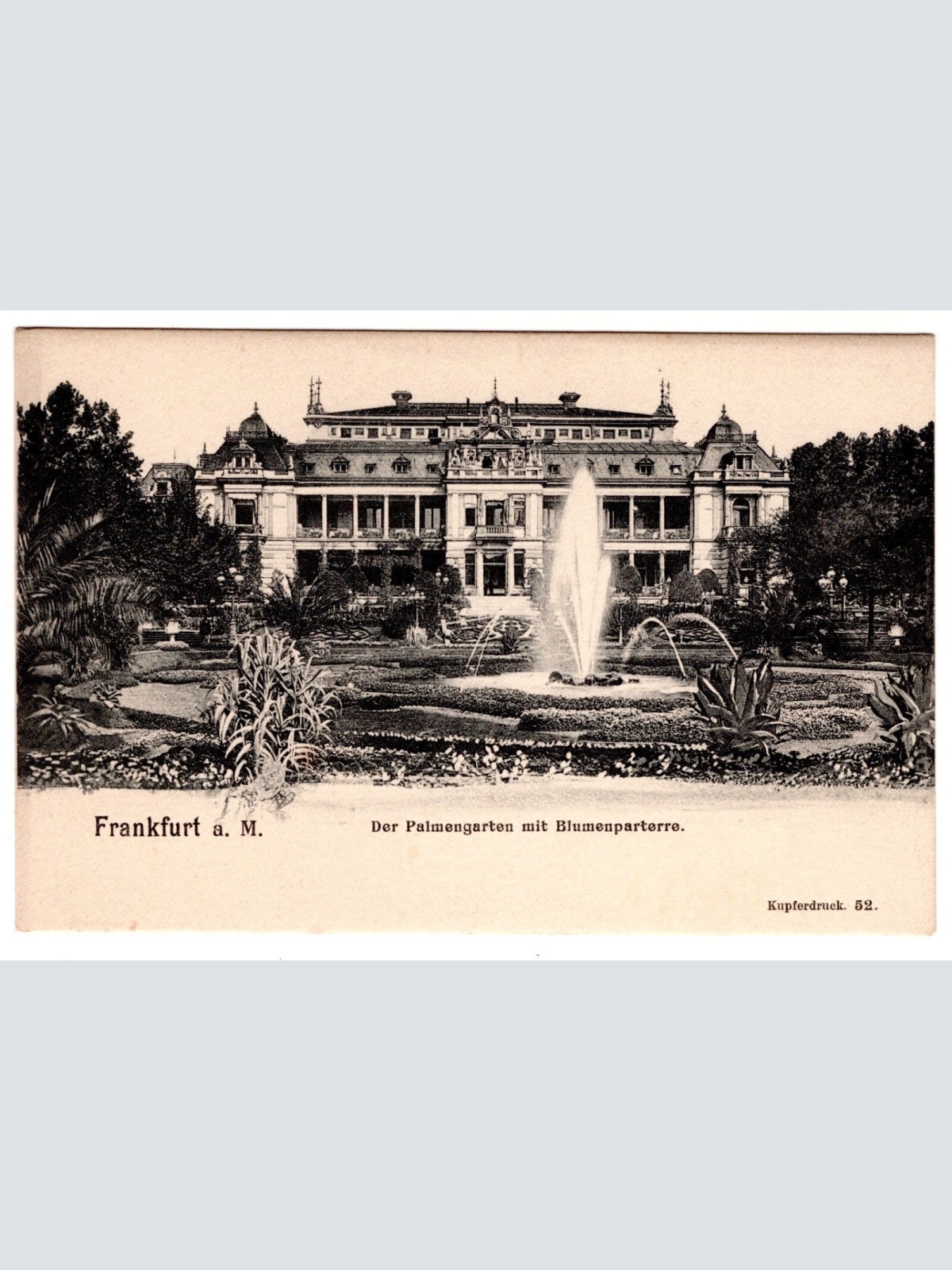 AK, Frankfurt am Main, Hessen, Palmengarten, Ansichtskarte (S7032)