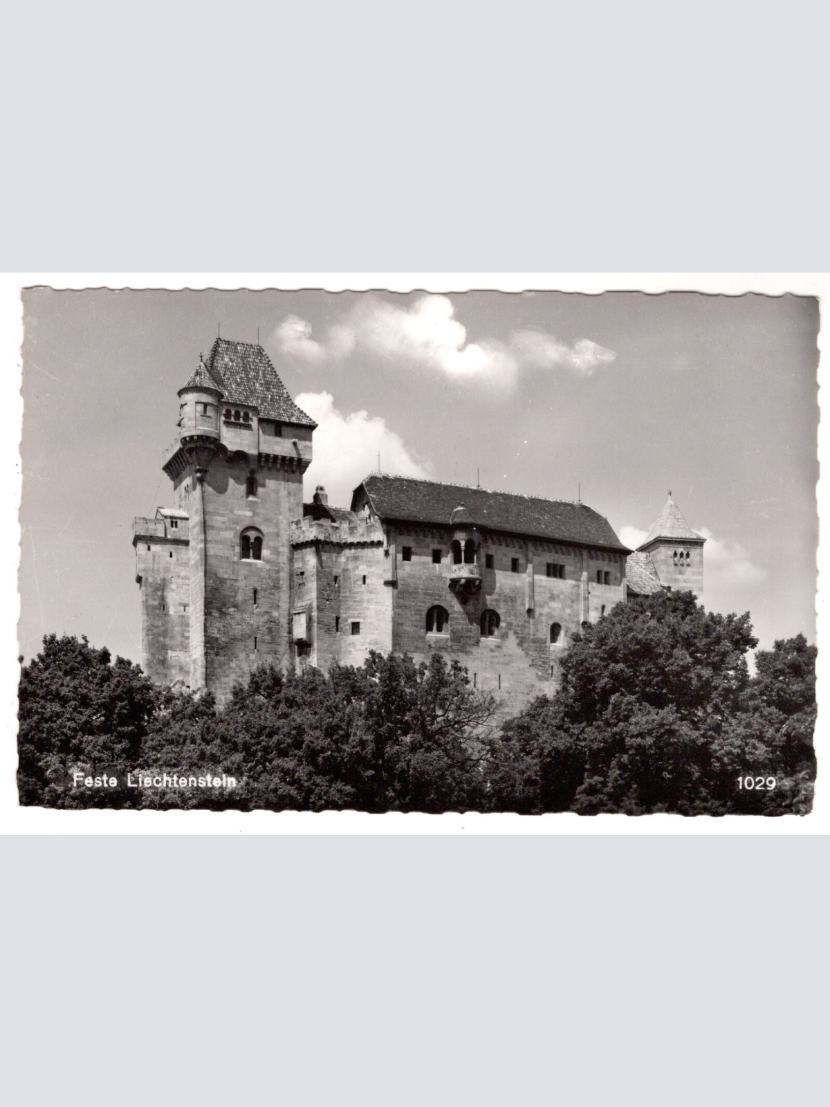 AK, Feste Liechtenstein, Niederösterreich, Ansichtskarte (S7141)