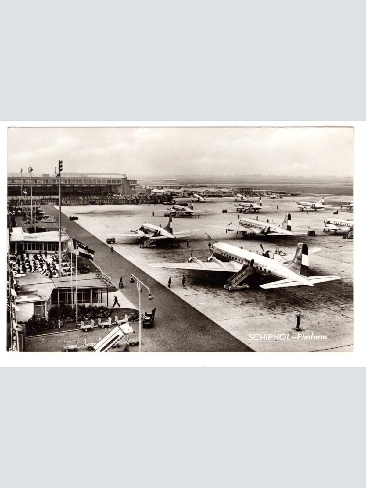 AK, Schiphol-Platform, Niederlande, Ansichtskarte (S7256)
