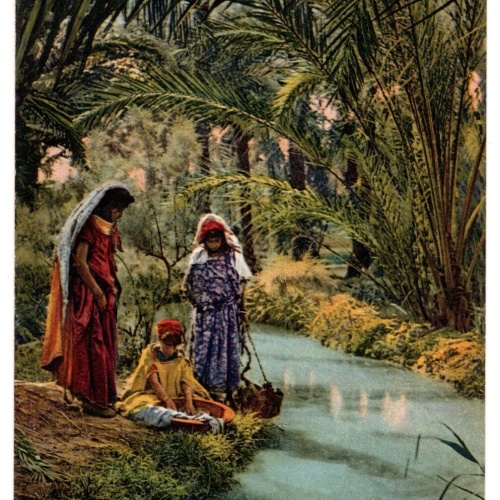 AK, Aux bords de l'Oued, Ansichtskarte (S7277)