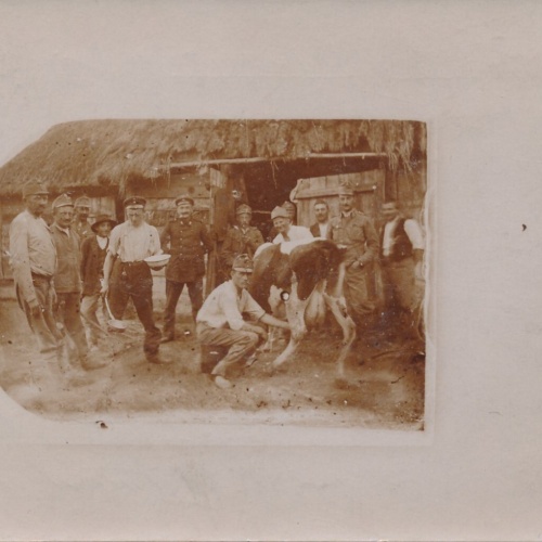 AK Soldaten Holen sich Milch von der Kuh ,Melken Militaria Ansichtskarte (14539)