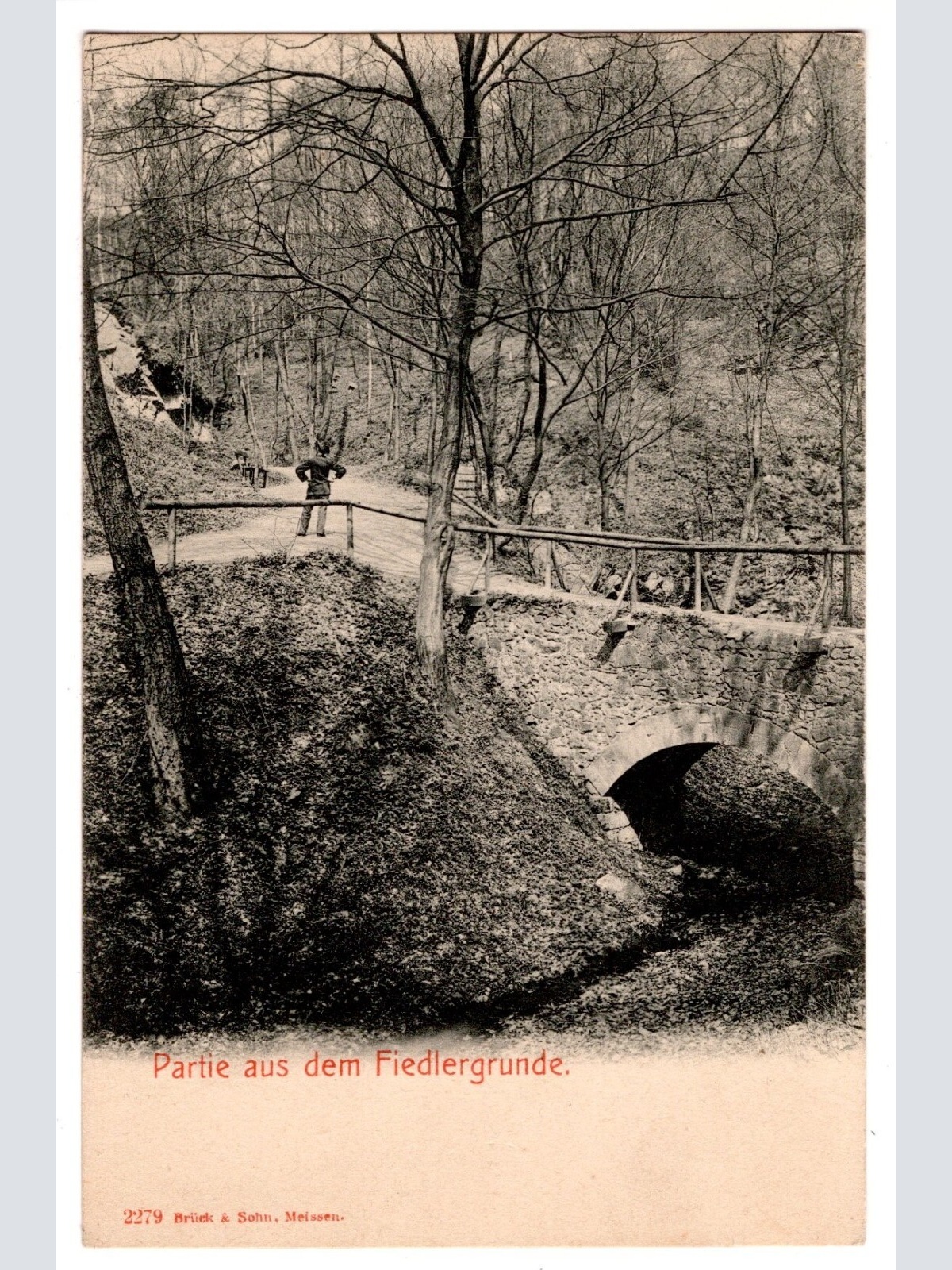 AK, Partie aus dem Fiedlergrunde, Ansichtskarte (S7330)