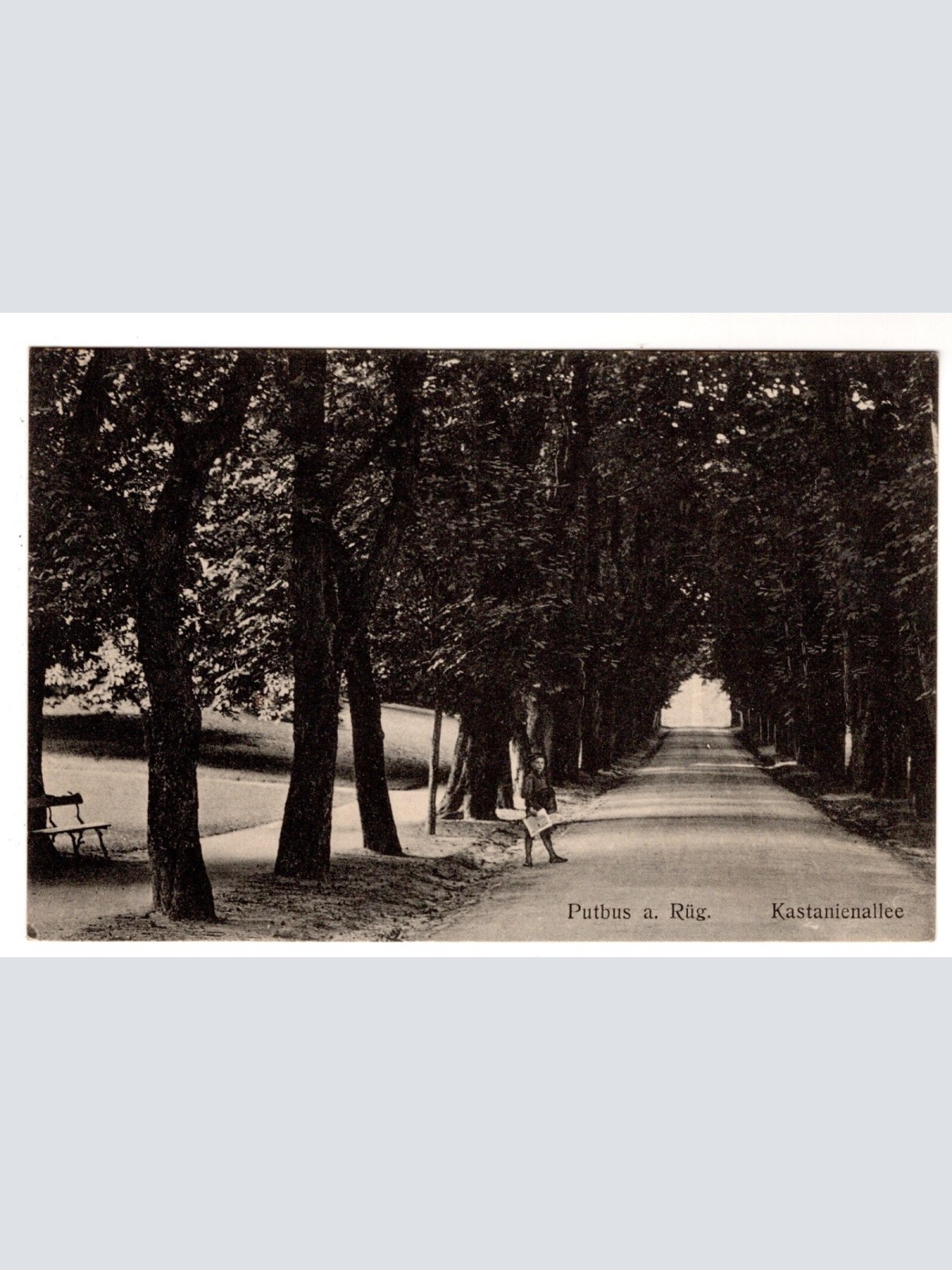 AK, Putbus auf Rügen, Mecklenburg-Vorpommern, Ansichtskarte (S7331)