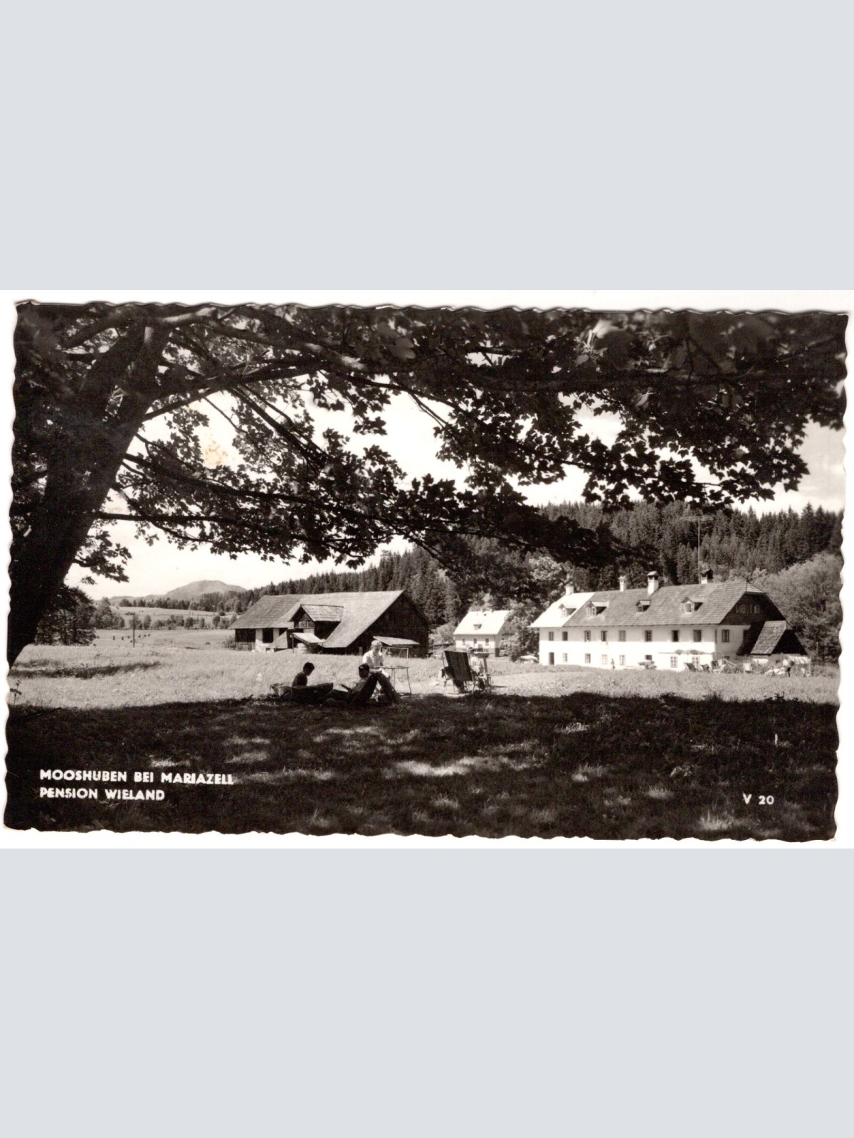 AK, Mooshuben bei Mariazell, Pension Wieland, Steiermark, Ansichtskarte (S7429)