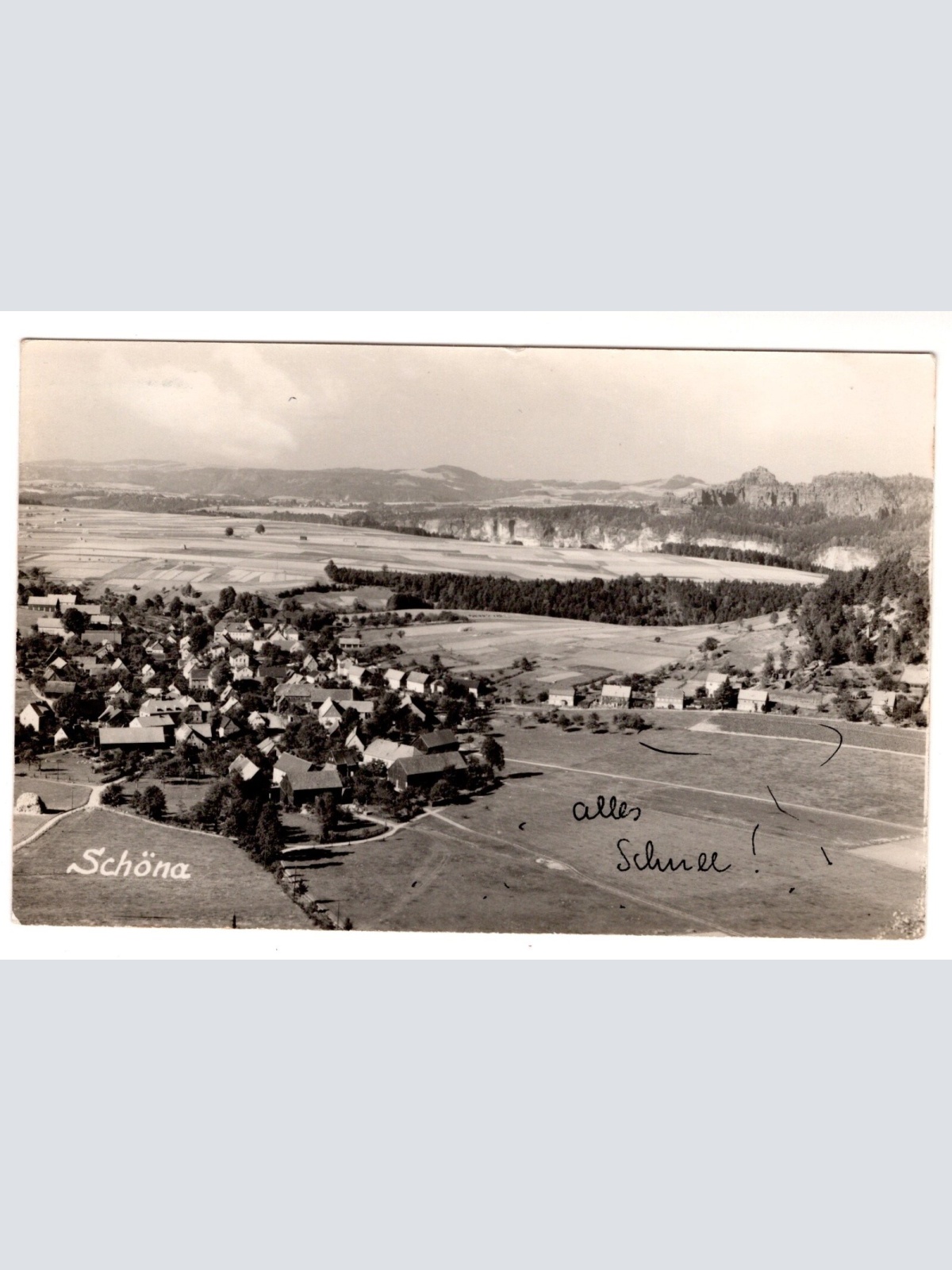 AK, Schöna, Sachsen, Ansichtskarte (S7438)