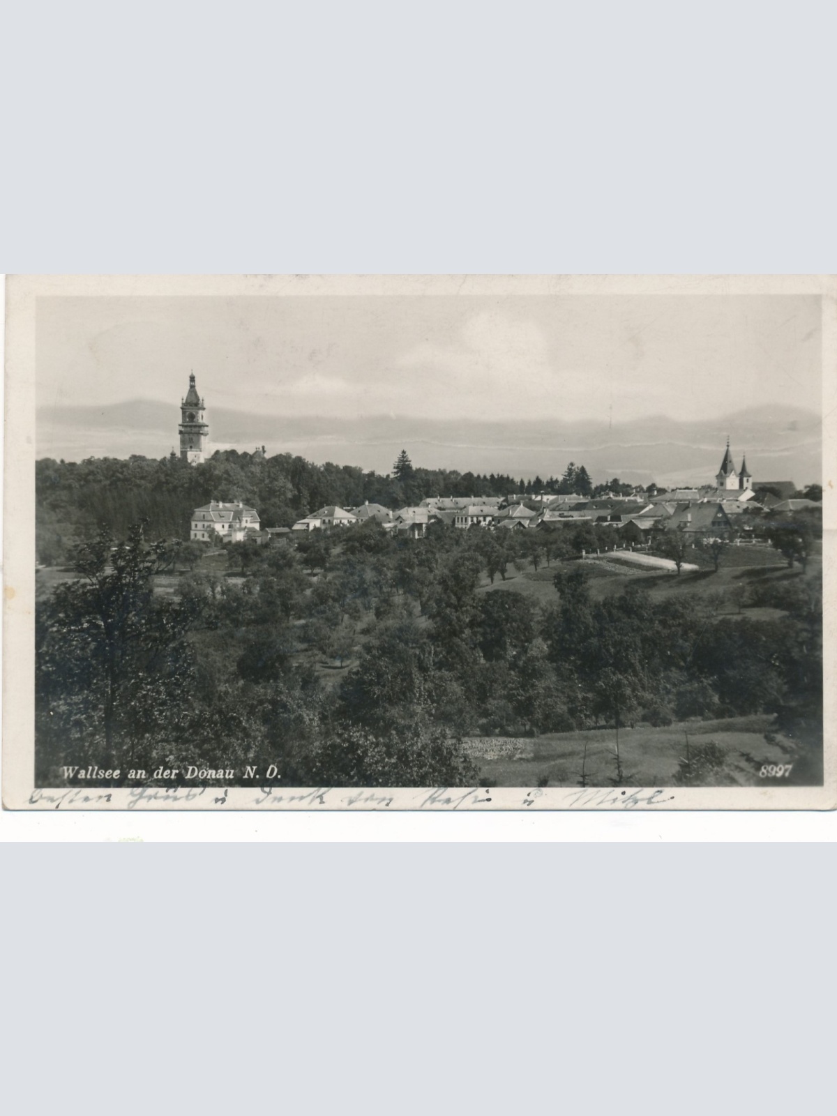 AK aus Wallsee an der Donau Niederösterreich Ansichtskarte (14880)