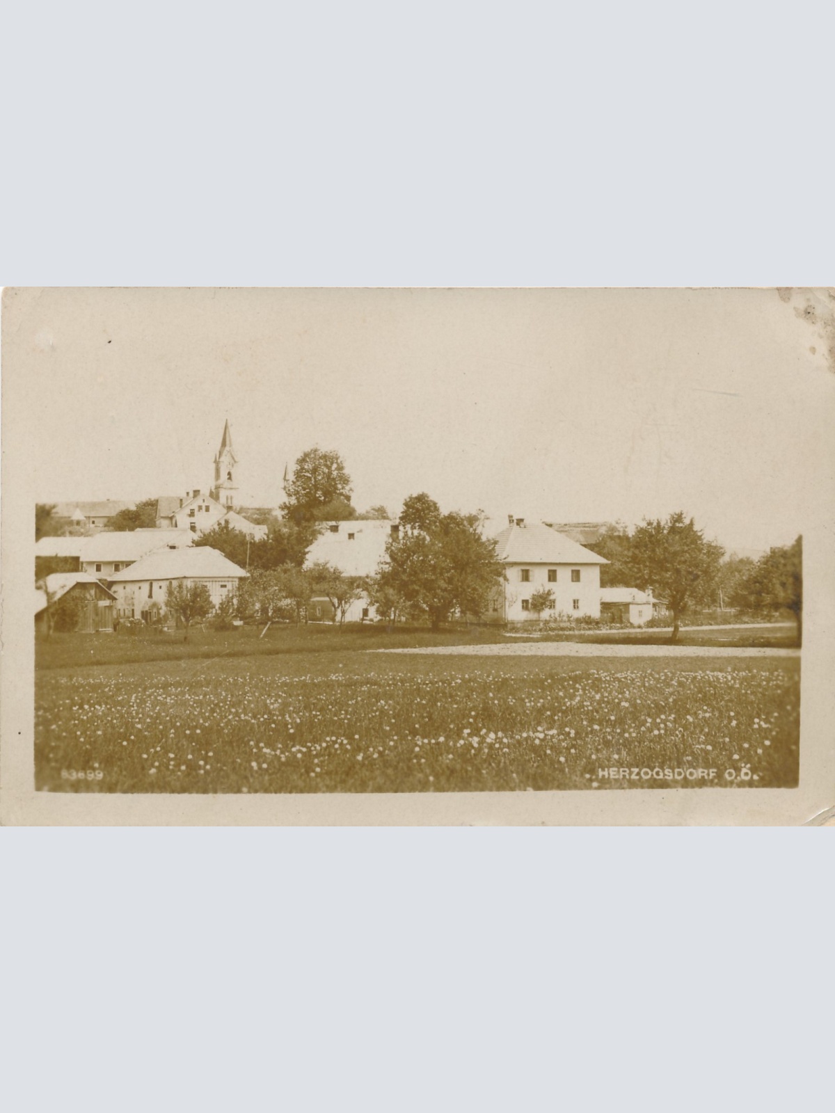 AK aus Herzogsdorf Oberösterreich Ansichtskarte (15141)