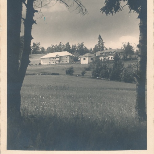 AK aus Luftenberg bei Linz Oberösterreich Ansichtskarte (15143)