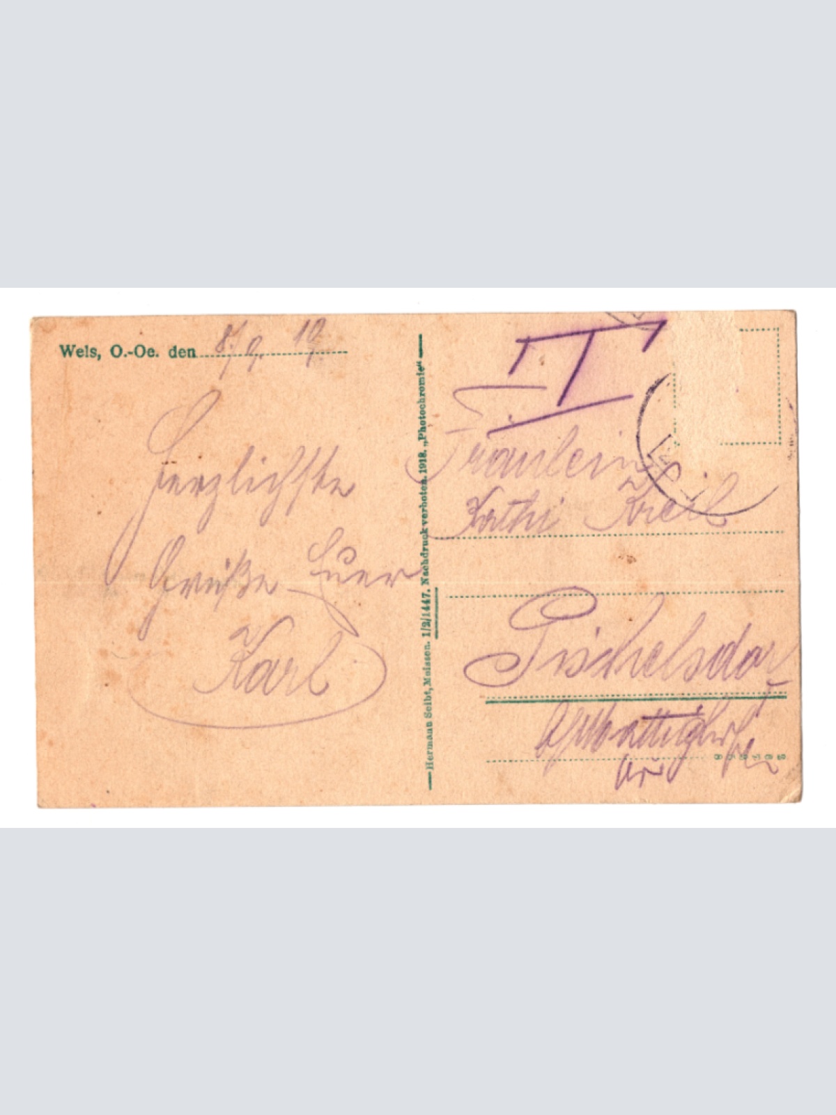 AK aus Wels, Oberösterreich Ansichtskarte (F397)