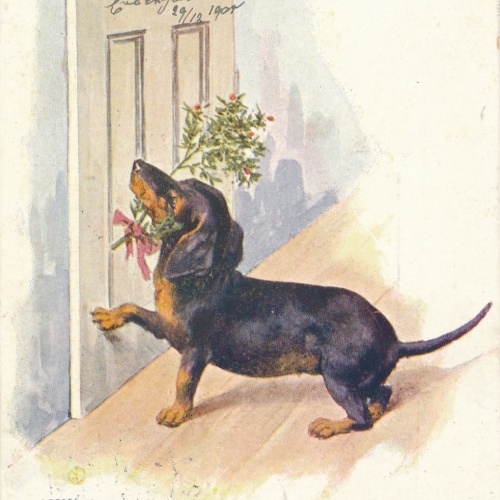 AK Glückliches Neujahr mit Dackel Ansichtskarte (15711)