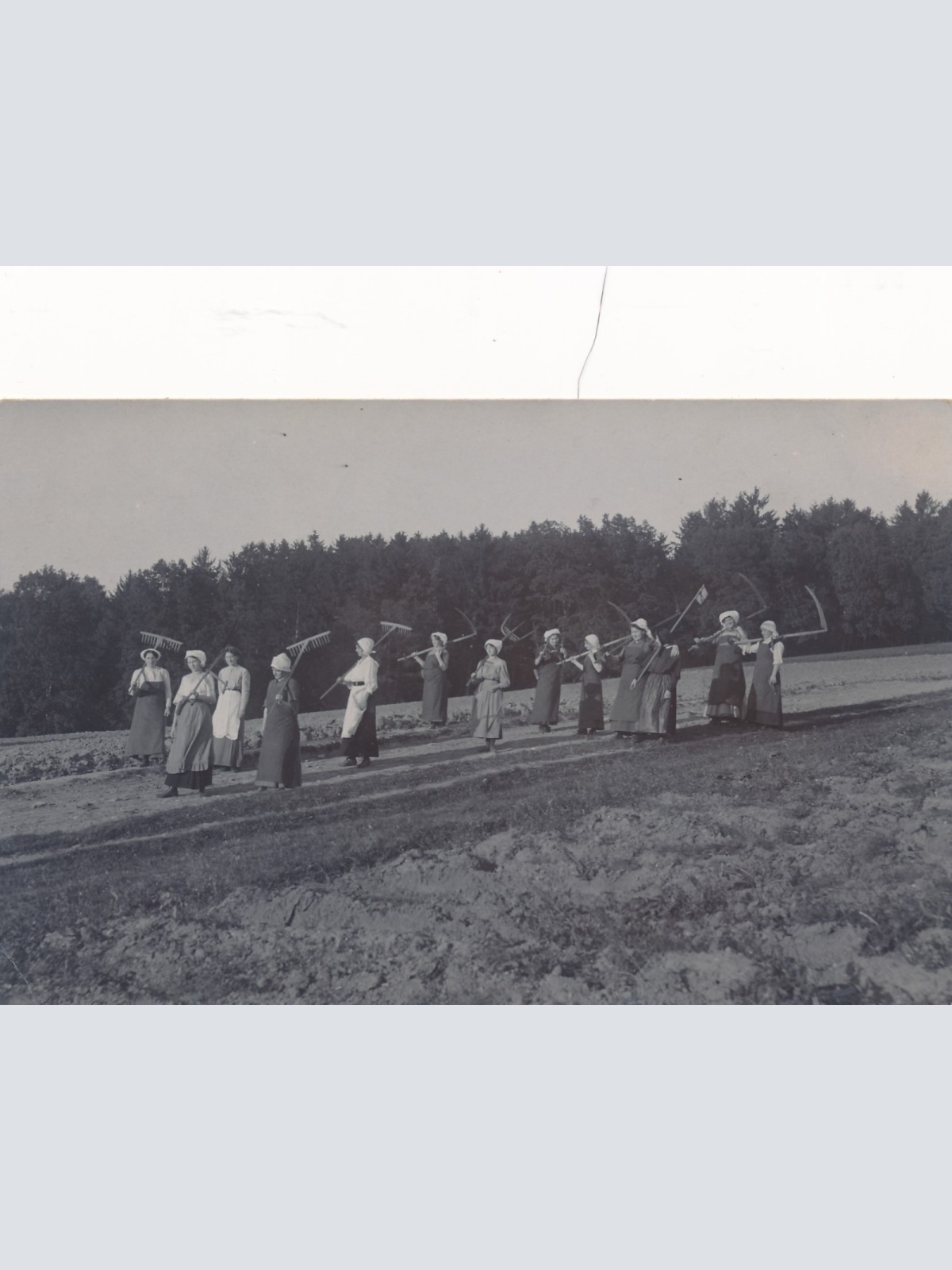 AK Annodazumals Frauen bei der Feldarbeit Ansichtskarte (16259)