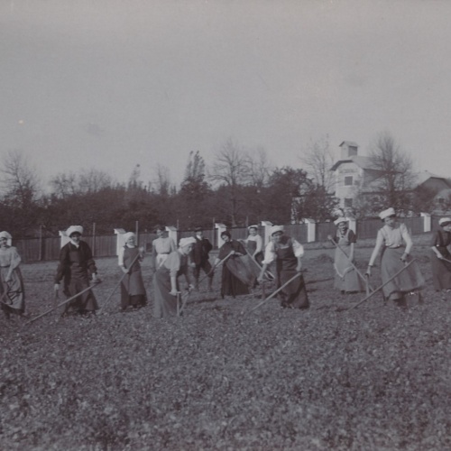 AK Annodazumals Frauen bei der Feldarbeit Ansichtskarte (16257)