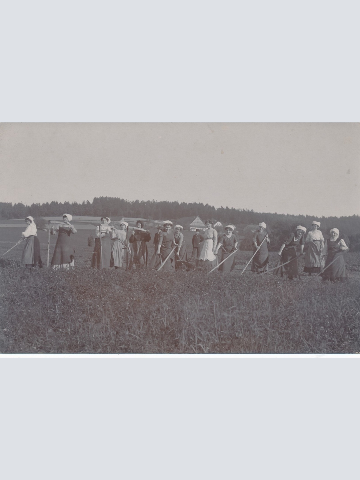 AK Annodazumals Frauen bei der Feldarbeit Ansichtskarte (16256)