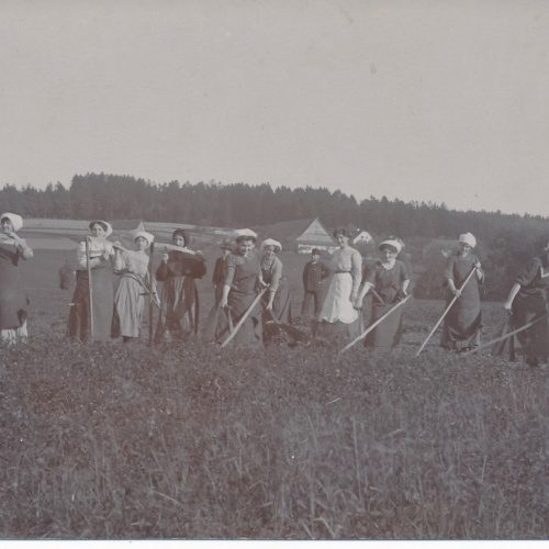 AK Annodazumals Frauen bei der Feldarbeit Ansichtskarte (16256)