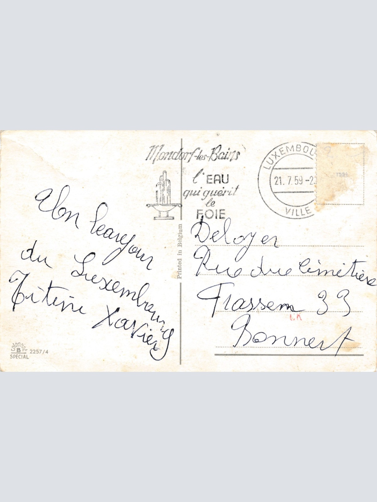 Motiv - Karte Katzen Karneval Ansichtskarte (15951)